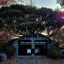 임페리얼CC(대중제) 이미지