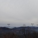 고동치