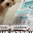 (주)에미넌트 네이버블로그