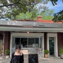 애니브리즈 | 여름소비기록 (시티브리즈, 마그넷, 올유니, 디애니, 아디다스 EVO SL)