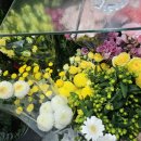 구암동625 이미지