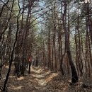 관동팔경녹색경관길 | 해파랑길 50코스 고성 통일전망대-제진검문소-명파해변입구-통일안보공원 여행기록