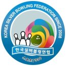 2013한국실버볼링연합 시.도 임원볼링대회 이미지