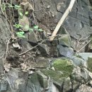 파주파인밸리 | 파주 파인밸리 펜션 어썸테라스 이용 후기