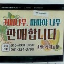함평커피농장