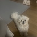 (주)미화건설 | [임신 15주차] 세상사는 늘 돌고돌아 내게 돌아와 : 일상유희 초음파 앨범 / 임산부 주말부부 / 강천섬...