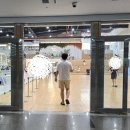 오헬모에드 이미지