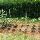 대방1차 이미지