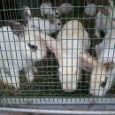 우정가든 이미지