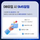 디비솔루션