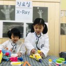 맑은숲동물병원 이미지