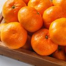 방가네농장 이미지