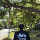 미나스 네일 | [공지] 🌺 하와이 숙소 : 포시즌스 오아후 앳 코 올리나 후기