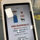 샤론빔스토어 | 2박 3일 일본 구마모토 여행 기록(25.4.4.~4.6.)