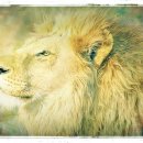 세도나제주풀빌라 민박 이미지