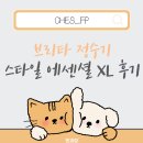 대웅바이오 노동조합 | [내돈내산] 자취생 브리타 정수기 추천 | 생수 쓰레기에서 해방된 브리타 스타일 에센셜 XL 후기