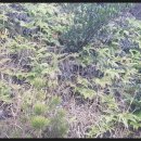 반여3동-12 이미지