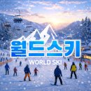 엘리시안스키강습맥시멈렌탈샵 | 강촌엘리시안 스키장 스키강습 및 렌탈샵 후기