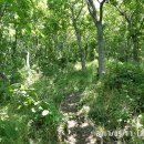 송원고등학교 이미지