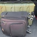 멍멍택시1 이미지