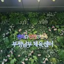 부평남부체육센터 | 부평 수영장 부평남부체육센터 기초반 수영 강습 후기