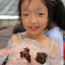 죽산초등학교 이미지