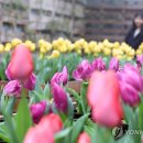 박지호농장 이미지