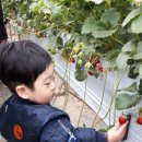 성보농장 이미지