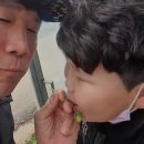 부국농장 이미지