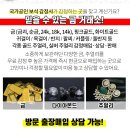 예진성형외과의원 이미지