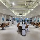 헤어보그 이미지