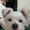 곽민석 수학