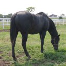 우람목장 이미지