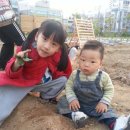 애바다 농장 이미지