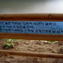 지화자껄껄