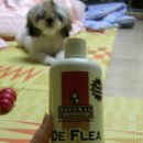 로하스케미칼 이미지