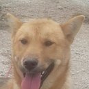 머스마