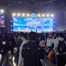 에덴퍼피 이미지