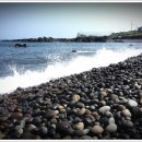 내도알작지 이미지