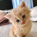 에코동물병원 이미지