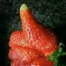 파도소리횟집 이미지