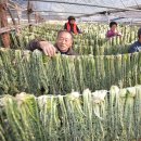 오산농원영농조합법인 이미지