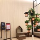 도그스타 이미지