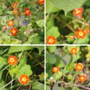 좌상바위 이미지