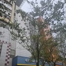 군위군소보면보건지소 이미지