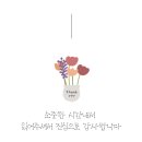 캡틴짐W 이미지