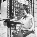 쁘띠하개 이미지