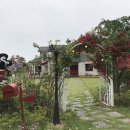 카오스371