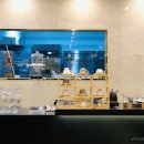 티라임스 이미지