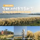 인당강변길 | "경남 가을 여행지" 김해 팜파스 군락지 불암동 서낙동강 둘레길 실시간 상황은?
